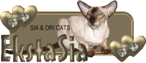 Питомник сиамских и ориентальных кошек EKSTASIA 
